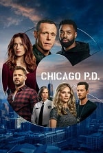 Полиция Чикаго / Полицейский департамент Чикаго (11 сезон) скачать